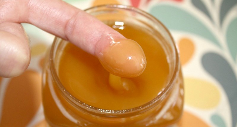  Can Dogs Eat Raw Honey Stone Crest Springdale AR